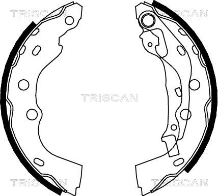 Triscan 8100 10025 - Комплект гальм, барабанний механізм avtolavka.club