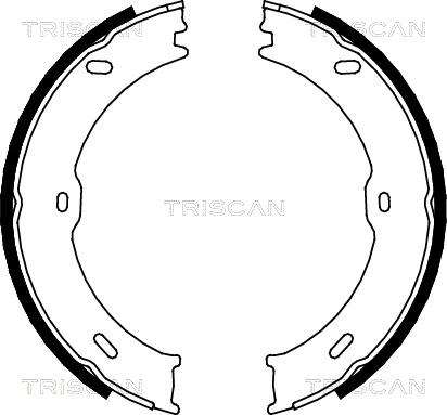 Triscan 8100 10023 - Комплект гальм, барабанний механізм avtolavka.club