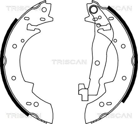 Triscan 8100 10307 - Комплект гальм, барабанний механізм avtolavka.club