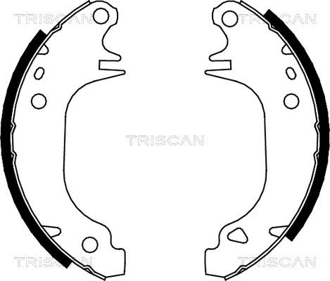 Triscan 8100 10372 - Комплект гальм, барабанний механізм avtolavka.club