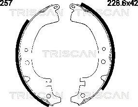 Triscan 8100 10257 - Комплект гальм, барабанний механізм avtolavka.club