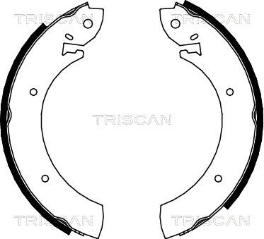 Triscan 8100 10272 - Комплект гальм, барабанний механізм avtolavka.club
