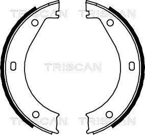 Triscan 8100 11415 - Комплект гальм, ручник, парковка avtolavka.club