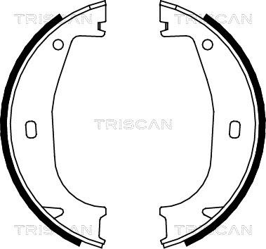 Triscan 8100 11553 - Комплект гальм, ручник, парковка avtolavka.club