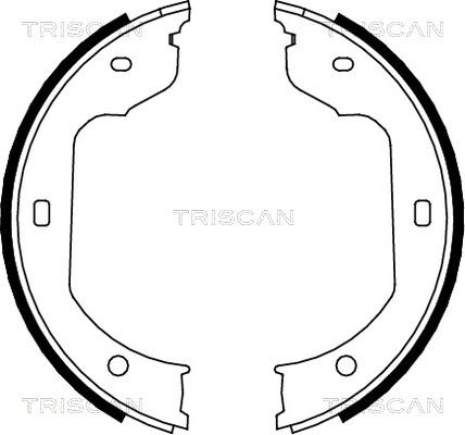 Triscan 8100 11012 - Комплект гальм, барабанний механізм avtolavka.club