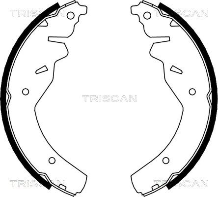 Triscan 8100 18595 - Комплект гальм, барабанний механізм avtolavka.club