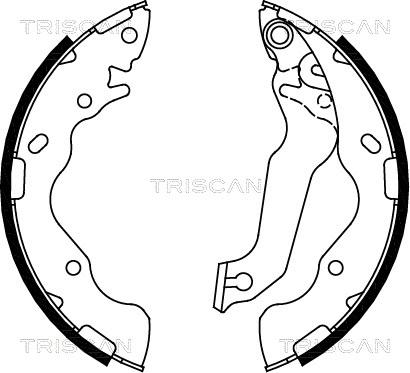 Triscan 8100 18009 - Комплект гальм, барабанний механізм avtolavka.club