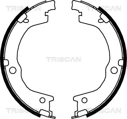 Triscan 8100 18006 - Комплект гальм, барабанний механізм avtolavka.club