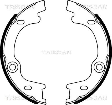 Triscan 8100 18010 - Комплект гальм, ручник, парковка avtolavka.club