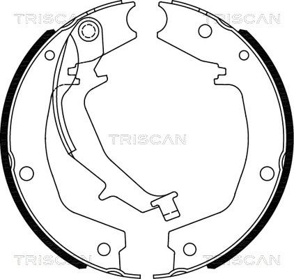 Triscan 8100 18011 - Комплект гальм, ручник, парковка avtolavka.club