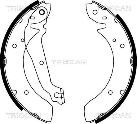 Triscan 8100 18013 - Комплект гальм, барабанний механізм avtolavka.club