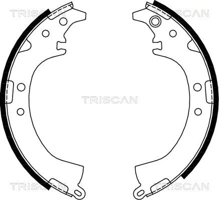 Triscan 8100 13569 - Комплект гальм, барабанний механізм avtolavka.club