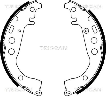 Triscan 8100 13617 - Комплект гальм, барабанний механізм avtolavka.club