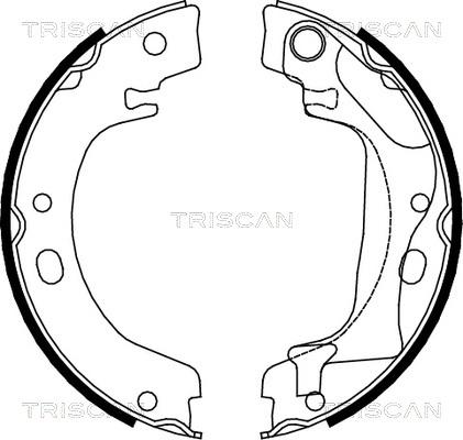 Triscan 8100 13041 - Комплект гальм, ручник, парковка avtolavka.club