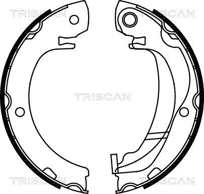 Triscan 8100 13047 - Комплект гальм, ручник, парковка avtolavka.club