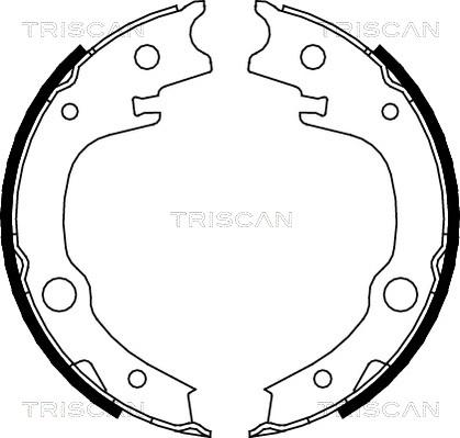 Triscan 8100 13039 - Комплект гальм, ручник, парковка avtolavka.club