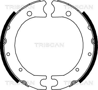 Triscan 8100 13036 - Комплект гальм, ручник, парковка avtolavka.club