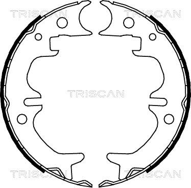 Triscan 8100 13030 - Комплект гальм, ручник, парковка avtolavka.club