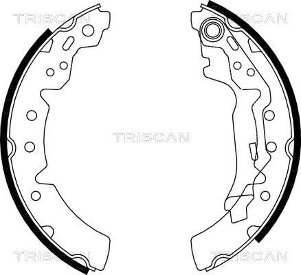 Triscan 8100 13031 - Комплект гальм, барабанний механізм avtolavka.club