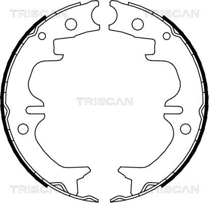 Triscan 8100 13038 - Комплект гальм, ручник, парковка avtolavka.club