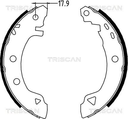 Triscan 8100 12523 - Комплект гальм, барабанний механізм avtolavka.club