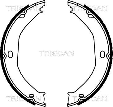 Triscan 8100 80008 - Комплект гальм, ручник, парковка avtolavka.club