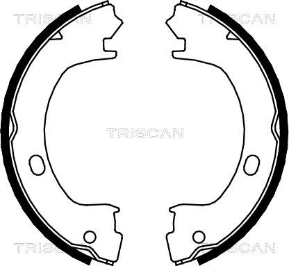 Triscan 8100 80003 - Комплект гальм, ручник, парковка avtolavka.club