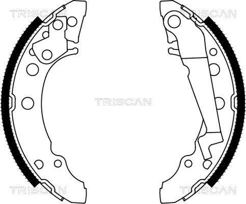 Triscan 8100 29001 - Комплект гальм, барабанний механізм avtolavka.club