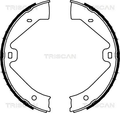 Triscan 8100 29002 - Комплект гальм, ручник, парковка avtolavka.club