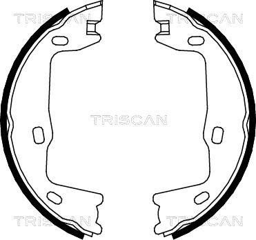 Triscan 8100 24005 - Комплект гальм, ручник, парковка avtolavka.club