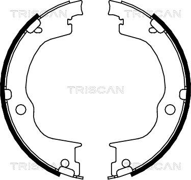 Triscan 8100 24003 - Комплект гальм, ручник, парковка avtolavka.club
