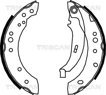 Triscan 8100 25005 - Комплект гальм, барабанний механізм avtolavka.club