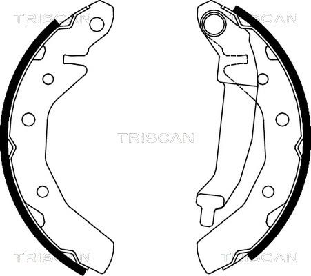 Triscan 8100 21610 - Комплект гальм, барабанний механізм avtolavka.club