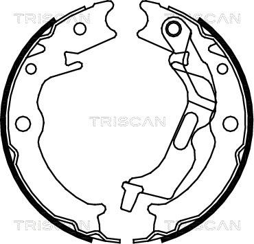 Triscan 8100 21001 - Комплект гальм, барабанний механізм avtolavka.club