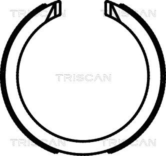 Triscan 8100 21003 - Комплект гальм, ручник, парковка avtolavka.club