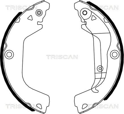 Triscan 8100 21002 - Комплект гальм, барабанний механізм avtolavka.club