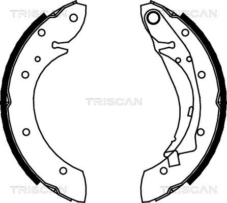 Triscan 8100 28598 - Комплект гальм, барабанний механізм avtolavka.club