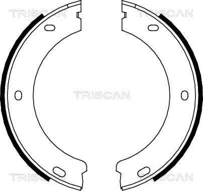 Triscan 8100 28522 - Комплект гальм, ручник, парковка avtolavka.club