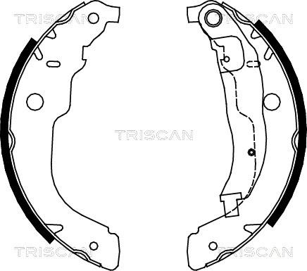 Triscan 8100 28053 - Комплект гальм, барабанний механізм avtolavka.club