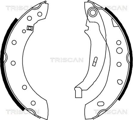 Triscan 8100 28052 - Комплект гальм, барабанний механізм avtolavka.club