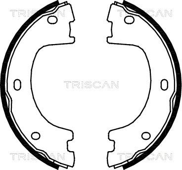 Triscan 8100 23032 - Комплект гальм, барабанний механізм avtolavka.club