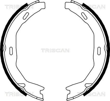 Triscan 8100 23029 - Комплект гальм, ручник, парковка avtolavka.club