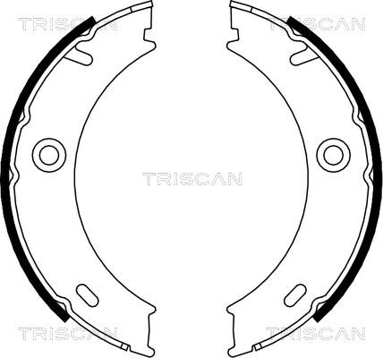 Triscan 8100 23025 - Комплект гальм, ручник, парковка avtolavka.club