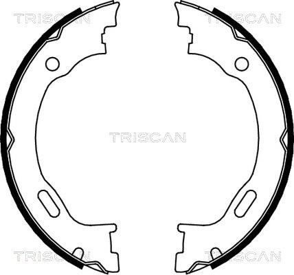 Triscan 8100 23028 - Комплект гальм, ручник, парковка avtolavka.club