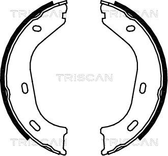 Triscan 8100 23217 - Комплект гальм, ручник, парковка avtolavka.club