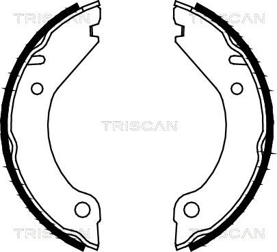 Triscan 8100 27277 - Комплект гальм, ручник, парковка avtolavka.club