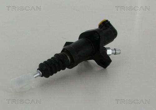 Triscan 8130 29216 - Головний циліндр, система зчеплення avtolavka.club