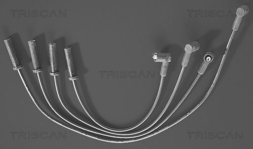 Triscan 8860 4333 - Комплект проводів запалювання avtolavka.club