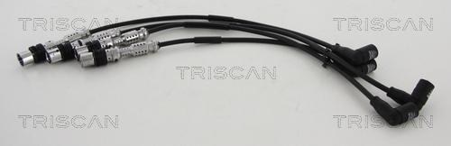 Triscan 8860 29031 - Комплект проводів запалювання avtolavka.club