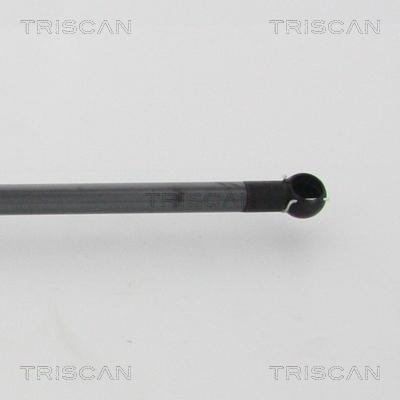 Triscan 8710 68217 - Газова пружина, кришка багажник avtolavka.club